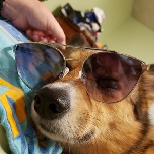 Meet your Posher, Sandy